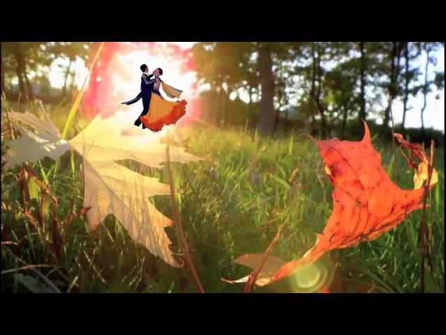 Женщине об осени. Женщине про лужи...