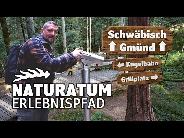 NATURATUM | Schwäbisch Gmünd - Erlebnispfad und Kugelbahn im Taubentalwald