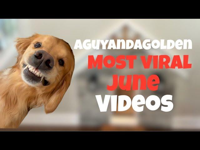 Funniest AGuyandAGolden VIRAL June Skits!