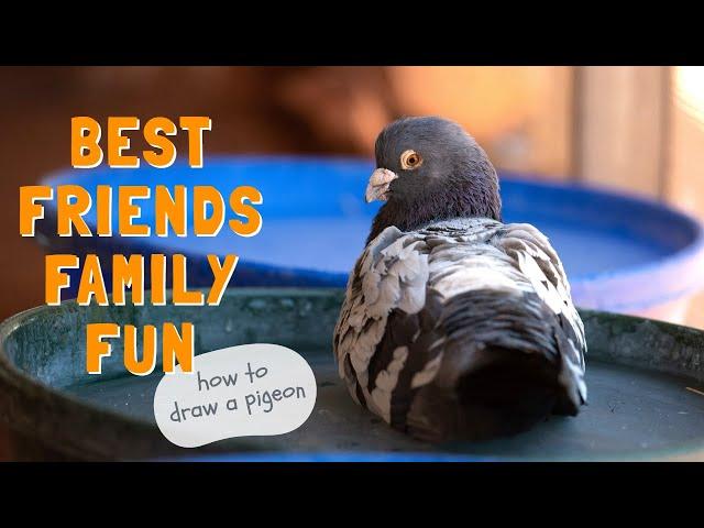 Family Fun! DIY Drawing a Pigeon