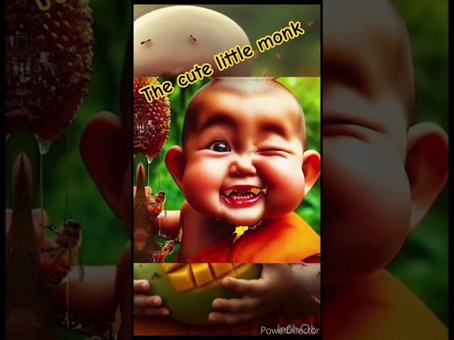 little monk so cute  #funny #cute #cutebaby #baby #littlemonkvideo #video #cutest  #laughingmonk