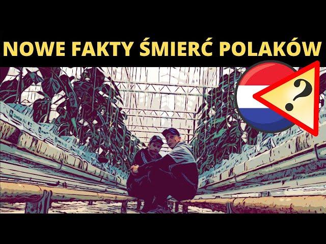 NOWE FAKTY W SPRAWIE TAJEMNICZEJ ŚMIERCI MŁODYCH POLAKÓW W HOLANDII