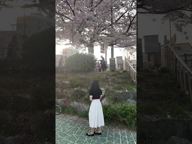 #신상 #라이브 #쇼핑 #셀러 #무료배송 #반팔 #다다마켓2