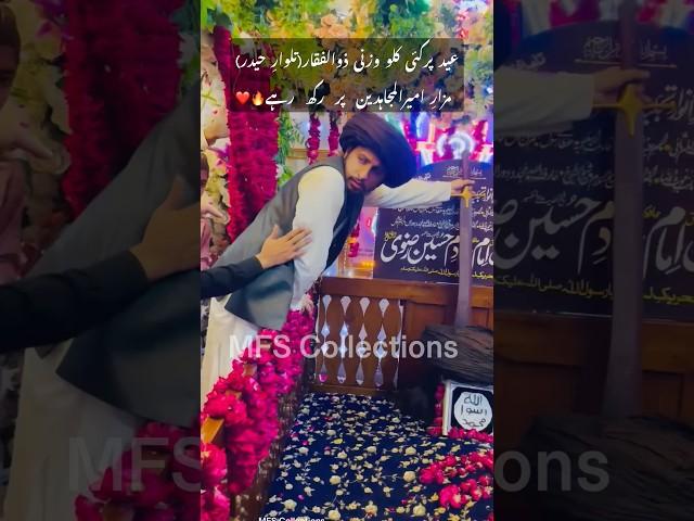 شہزادہ امیرالمجاہدین️| Mufti Hafiz Anas Hussain Rizvi | #allamakhadimhussainrizvi | Status Shorts