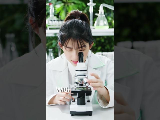 INNISFREE Green Innovation Lab - Green Tea Authority