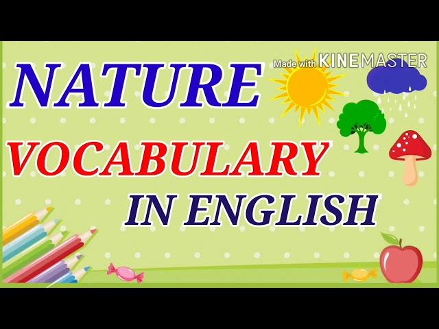 Nature Vocabulary In English