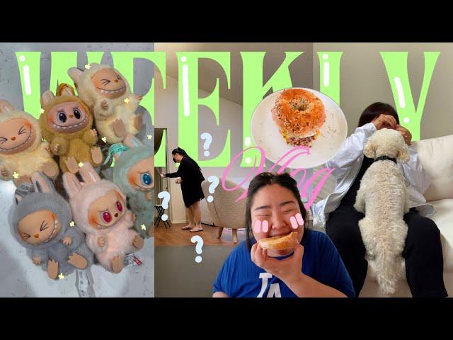 Weekly Vlog — My Apartment Is INFESTED!?  + first time opening Labubu’s w/ bestie 