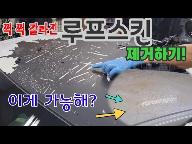 쩍쩍 갈라진 루프스킨 쉽게 제거하기!(How to remove Roof skin)