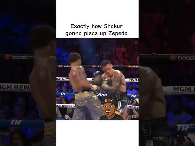 Shakur Stevenson v William Zepeda (Prediction)