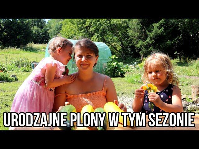 tak spędzam dzień z 2 dzieci w natłoku obowiązków