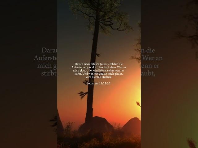 Johannes 11:25-26 #gott  #gotteswort #jesus #jesuschrist #bibel #bibelverse  #fyp #shorts #viral