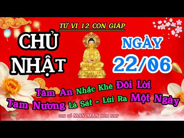 Tử Vi Ngày 22/06 Của 12 Con Giáp | Tâm An Nhắc Khéo Đôi Lời - Tam Nương Là Sát, Lùi Ra Một Ngày !