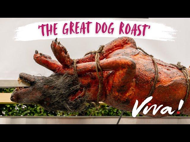 'The Great Dog Roast'