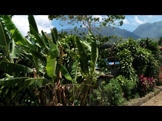 Mt. Kalatungan Traverse Mt. Lumpanag 2019 - From Peaks to Prairies (Part 3)