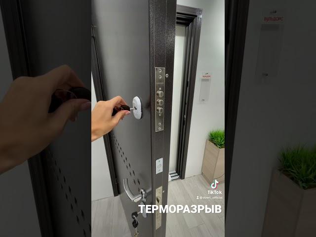 Входные двери терморазрыв | dveri-official.ru