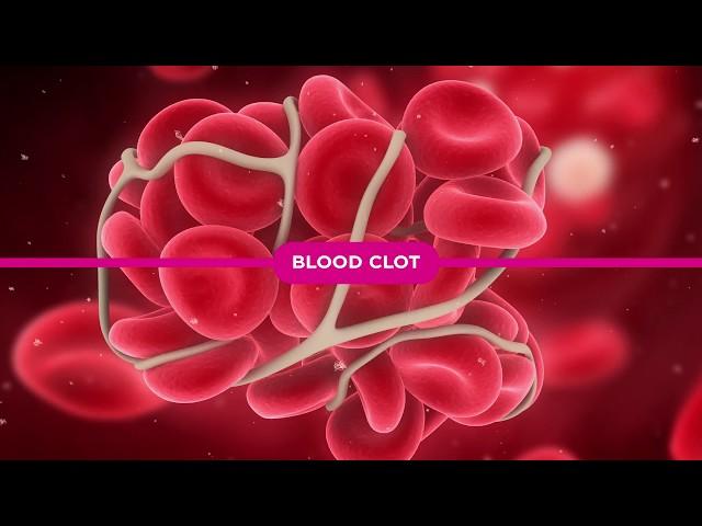 Coagulation Cascade Explained