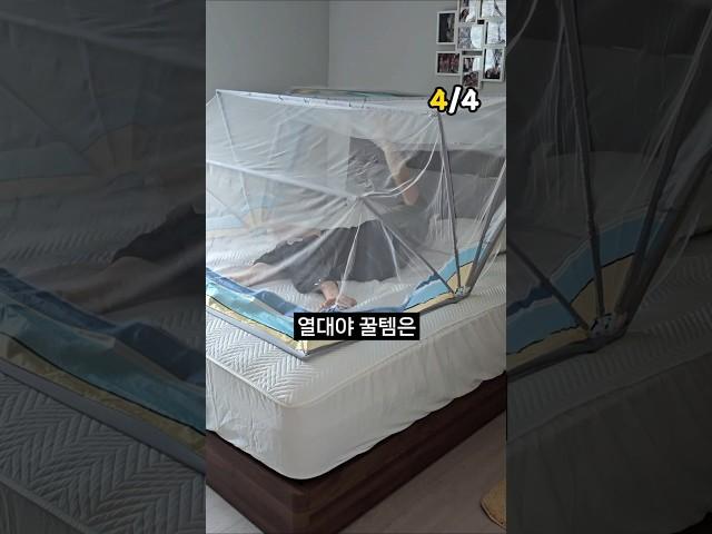  예민한 사람들은 공감하는 여름꿀템 Top5 ️