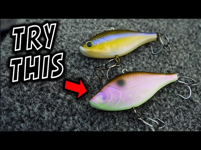 What I WISH Someone Would've Told me about Lipless CRANKBAIT Fishing Part 2