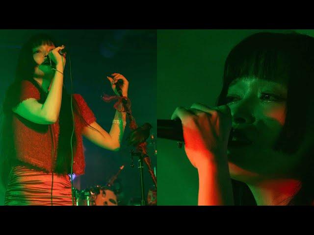 PORABIM - Black cherry queen (Live from Purple hall 2024)