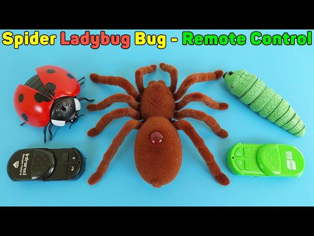 Spider, Ladybug, Bug Infrared Remote Control RC | Unboxing And Review