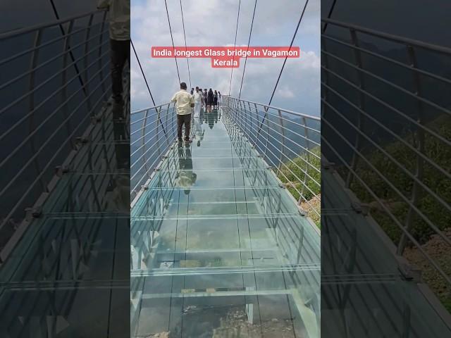 India Longest Glass Bridge in Vagamon Kerala|A must visit in Vagamon ..