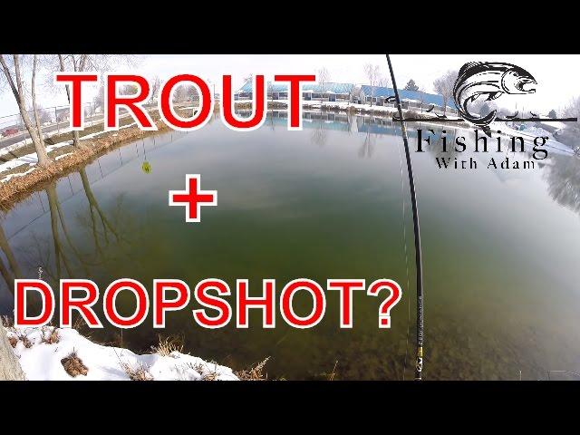 Trout fishing with Bass Lures