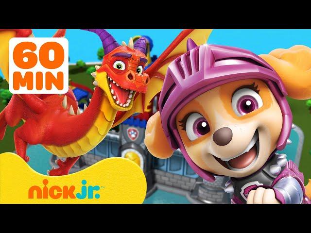 PAW Patrol Dragon Adventures & Rescues!  1 Hour | Nick Jr.