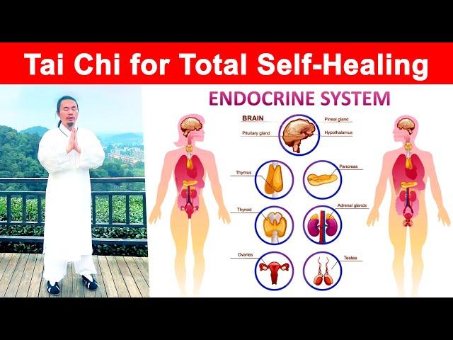 Tai Chi for Self-Healing: Balance Your Endocrine System Naturally