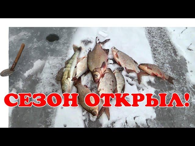 Рыбалка на Дону. Сезон Открыл! ▶ Ice Fishing 2023 | #vovabeer