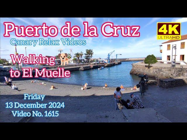 Tenerife ️ Puerto de la Cruz 13 December 2024 Teneriffa