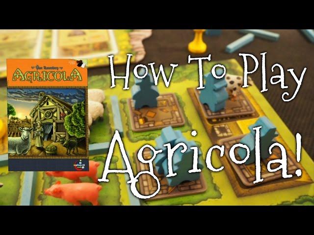 A Dicey "Walkthrough Review" of Agricola Revised Edition!