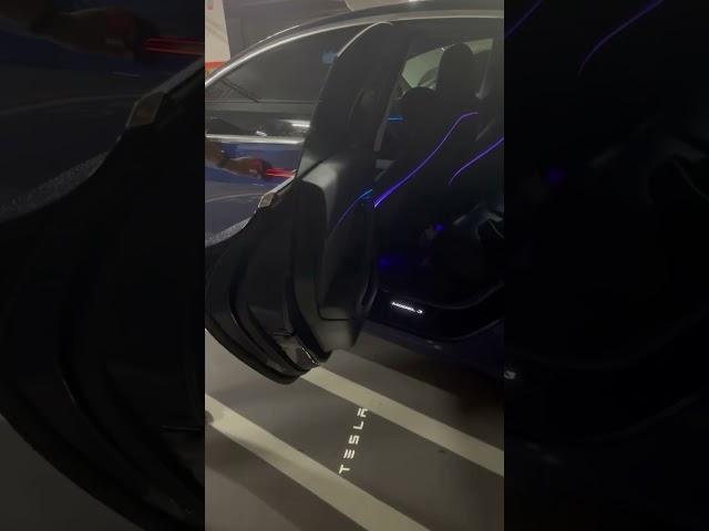 超爛特斯拉 居然前後都可以裝迎賓燈