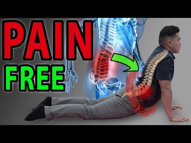 6 Absolute Best Exercises for Low Back Pain | SIJ , Facet Syndrome Mobilisation , Lumbar Pain