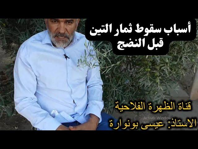 أسباب سقوط ثمار التين قبل النضج Reasons fall of figs fruits before ripening