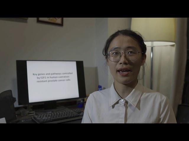 Key genes and pathways controlled by E2F1 - Video abstract [ID 217347]