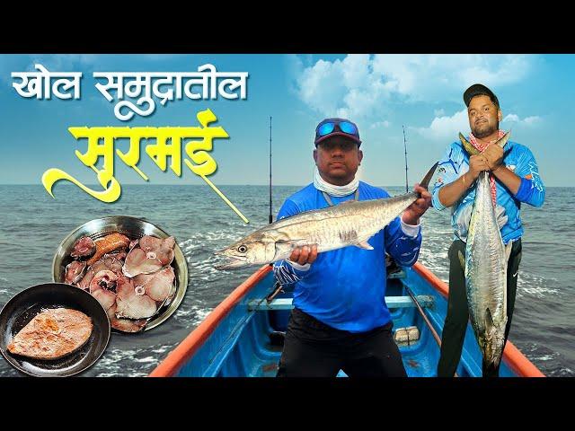 खोल समुद्रातील सुरमई | सुरमई फ्राय आणि सुरमाईच कालवण | Big Size King Fish