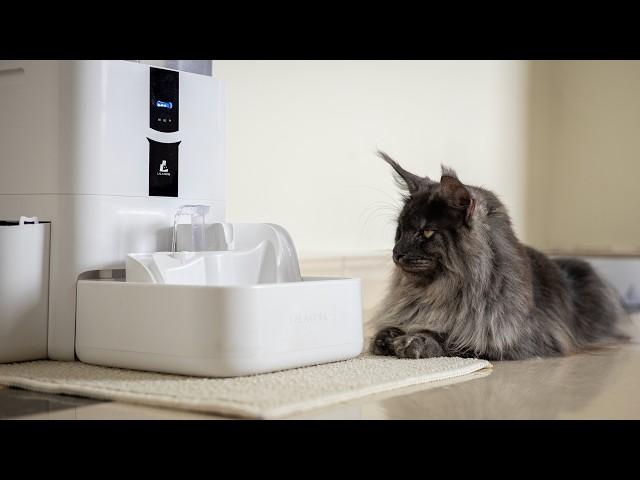 Is this the best pet fountain on the market?