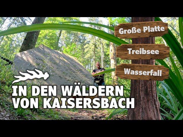 In den Wäldern von Kaisersbach | Treibsee | Große Platte | Trögleshütte