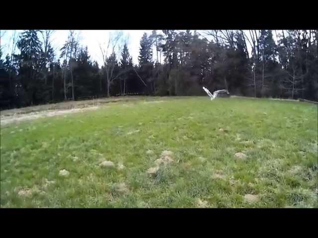RC Factory Flash Battery fun :D