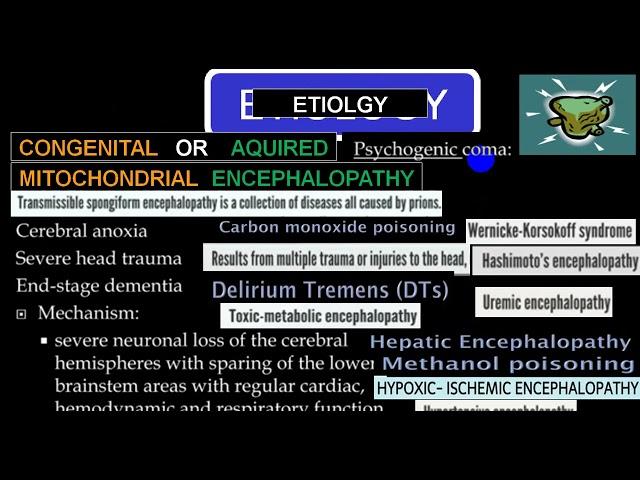 ENCEPHALOPATHY 4TH YR