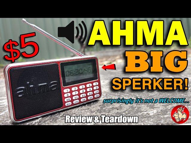 The "AHMA" Digital FM Radio & Media Player is actually pretty decent for $5