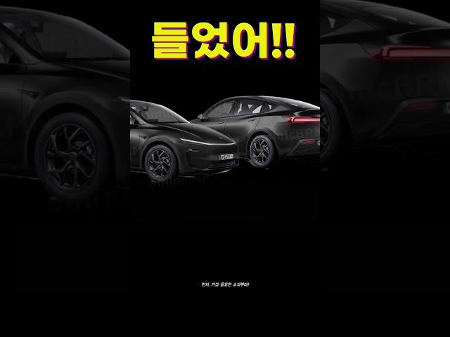 모델 y 주니퍼 테슬라. 테슬라의 Model Y Juniper는 2025년 1월부터 생산을 시작할 예정