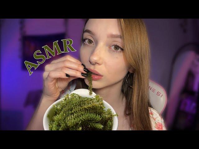 ASMR SEA GRAPES  eating mouth sounds