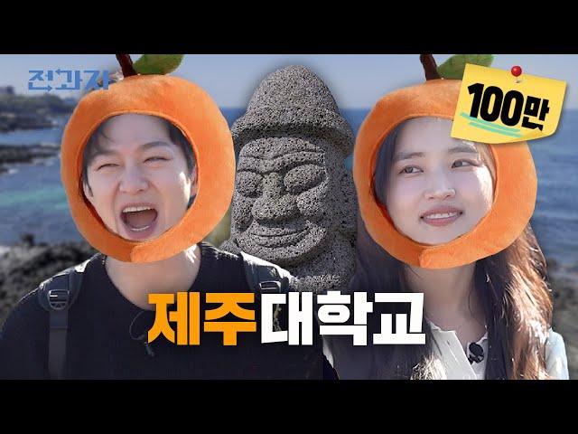 The Truth About Jeju Uni's Tangerine Packaging Department [Tourism Management] | Jeongwaja ep.76