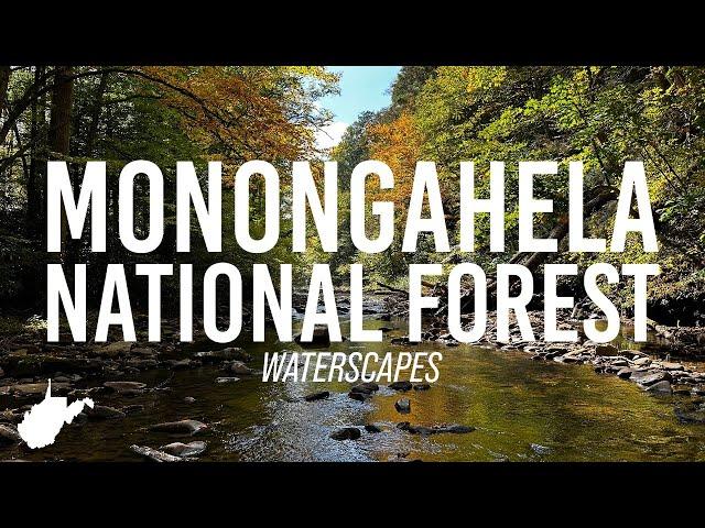 Fall Waterscapes from Various Spots in the Monongahela National Forest of West Virginia!