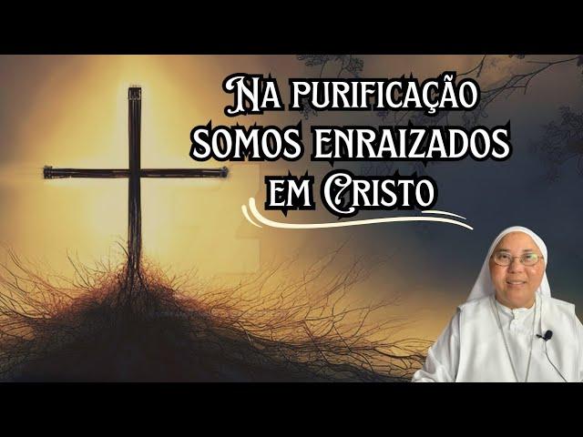 NA PURIFICAÇÃO SOMOS ENRAIZADOS EM CRISTO