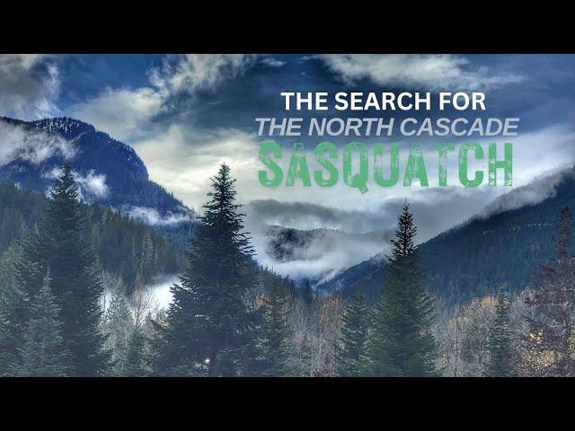 The Search For The North Cascade Sasquatch