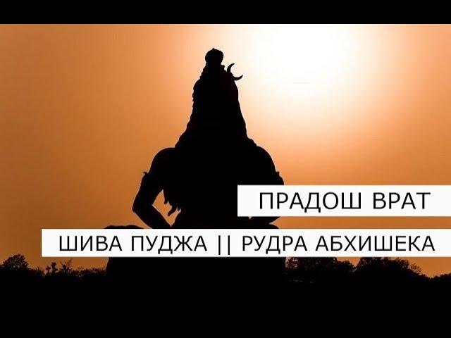 Пост Шивы Прадош 11.03.2025 || Шива пуджа и Рудра Абхишека || Pradosham Shiva puja || 14.00 по Мск