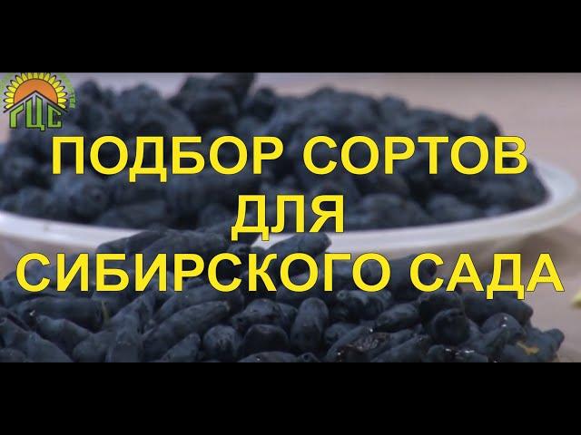 Подбор сортов для сибирского сада