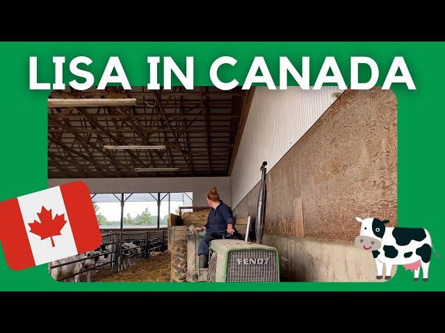 Lisa in Canada: ‘Kalfjes verhuizen’